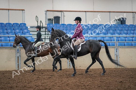 2019 Morgan Horse Show - Aug 30, 2019 - 23335