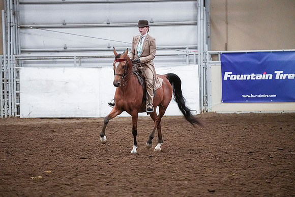 Spring Fling - Saturday - April 20, 2019  -  03918