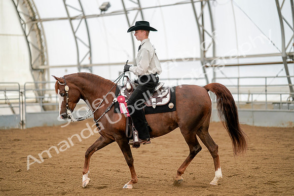 July 20, 2019 - 01175