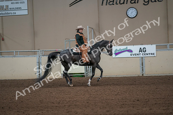 2019 Morgan Horse Show - Aug 31, 2019 - 06170