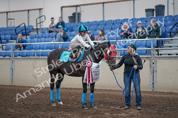 2019 Morgan Horse Show - Aug 31, 2019 - 10241