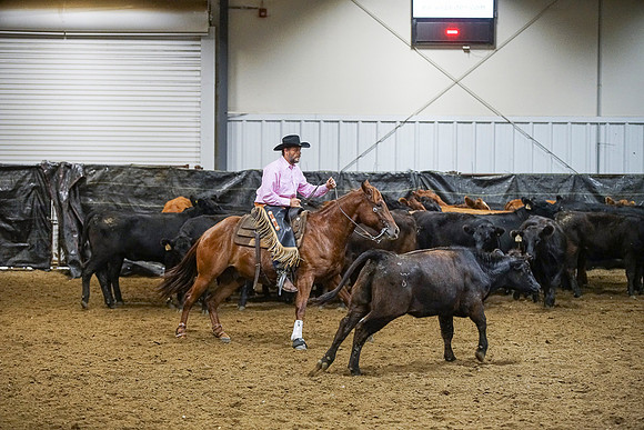 DSC00078