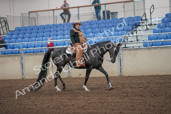 2019 Morgan Horse Show - Aug 31, 2019 - 06195