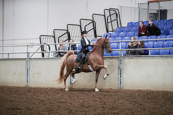 Spring Fling - Saturday - April 20, 2019  -  04334