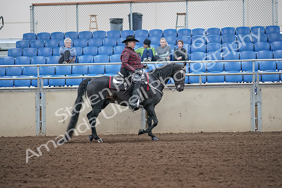 2019 Morgan Horse Show - Aug 31, 2019 - 10761