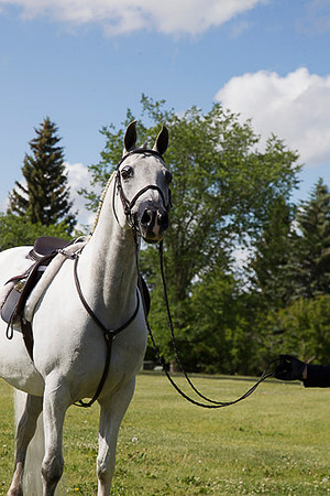 _P3A8082