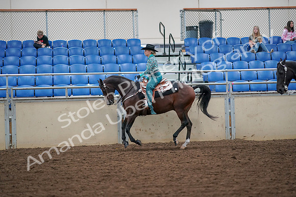 2019 Morgan Horse Show - Aug 30, 2019 - 16884