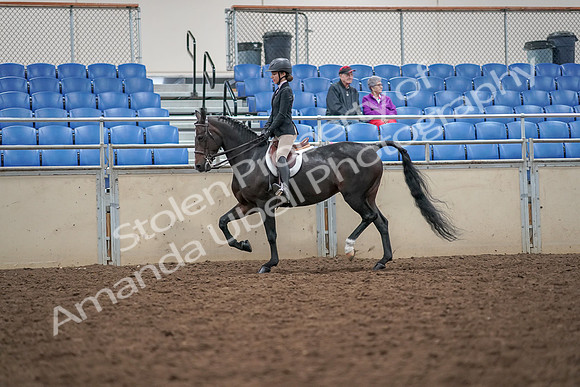 2019 Morgan Horse Show - Aug 30, 2019 - 20100