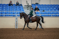 2020 - AB Morgan Horse - Fri, Sept 04 - 03950
