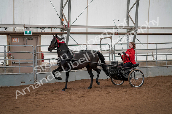 July 20, 2019 - 00304