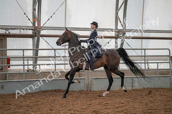 July 19, 2019 - 12907