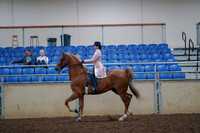 2019 Morgan Horse Show - Aug 30, 2019 - 21388