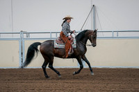 2020 - AB Morgan Horse - Fri, Sept 04 - 00414