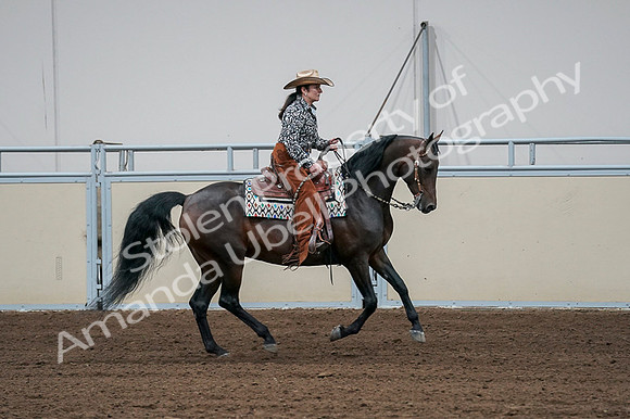 2020 - AB Morgan Horse - Fri, Sept 04 - 00414