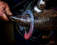 Farrier Day