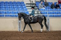 2020 - AB Morgan Horse - Fri, Sept 04 - 07734