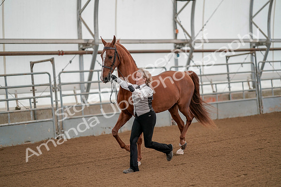July 19, 2019 - 84