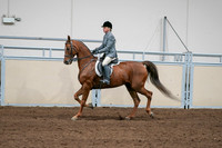 2020 - AB Morgan Horse - Sat, Sept 05 - 03037