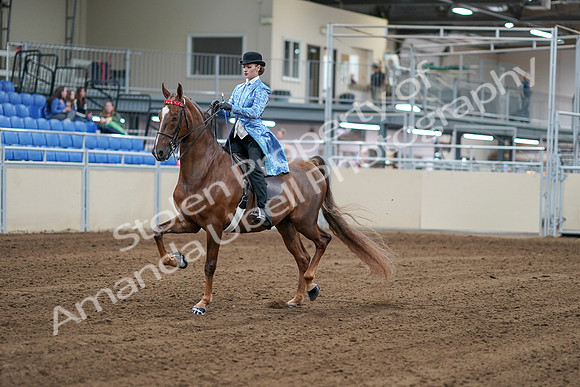 2020 - AB Morgan Horse - Sat, Sept 05 - 06114