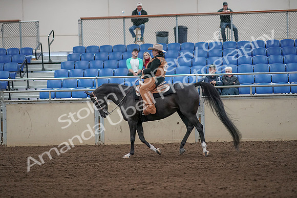 2019 Morgan Horse Show - Aug 31, 2019 - 06085