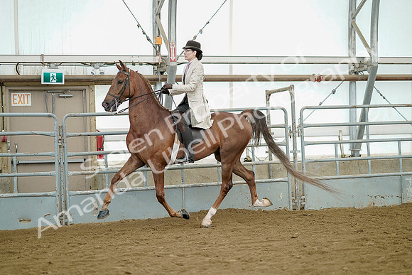 July 20, 2019 - 07855