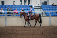 2019 Morgan Horse Show - Sept 01, 2019 - 06771