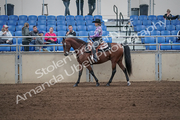 2019 Morgan Horse Show - Sept 01, 2019 - 06771