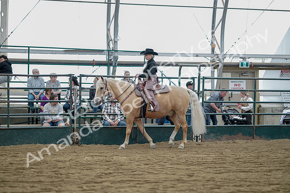 July 21, 2019 - 06527