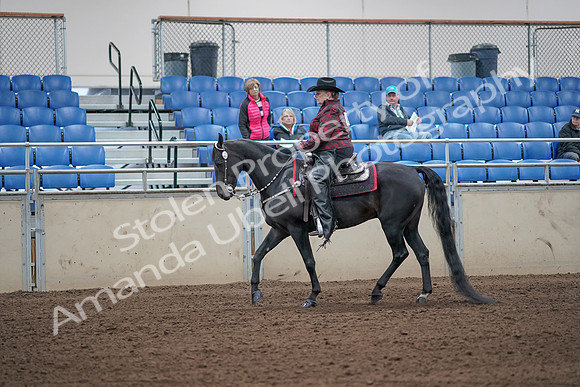 2019 Morgan Horse Show - Aug 31, 2019 - 10563