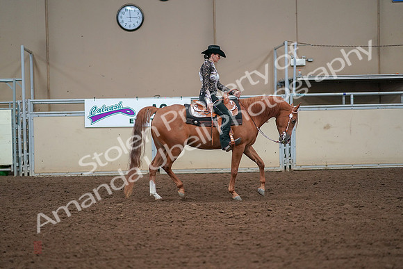 2019 Morgan Horse Show - Aug 30, 2019 - 17019