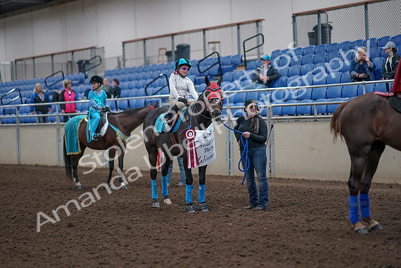 2019 Morgan Horse Show - Aug 31, 2019 - 10132