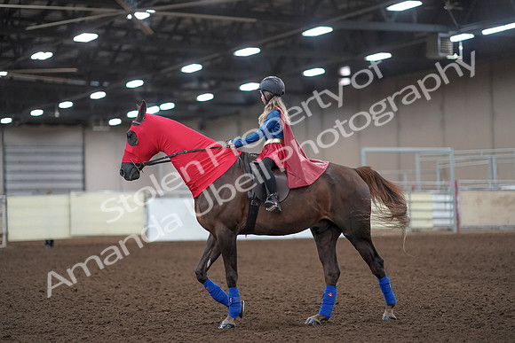 2019 Morgan Horse Show - Aug 31, 2019 - 10076