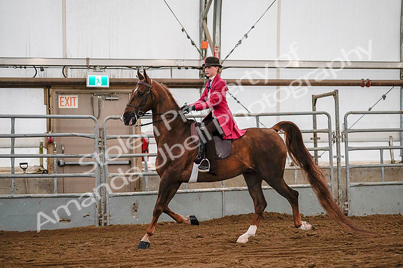 July 19, 2019 - 8735