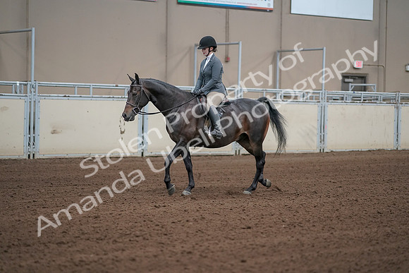 2019 Morgan Horse Show - Sept 01, 2019 - 10945_1