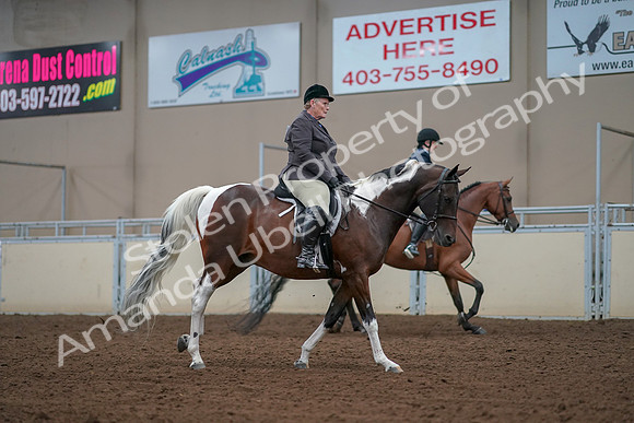 2019 Morgan Horse Show - Aug 30, 2019 - 16437