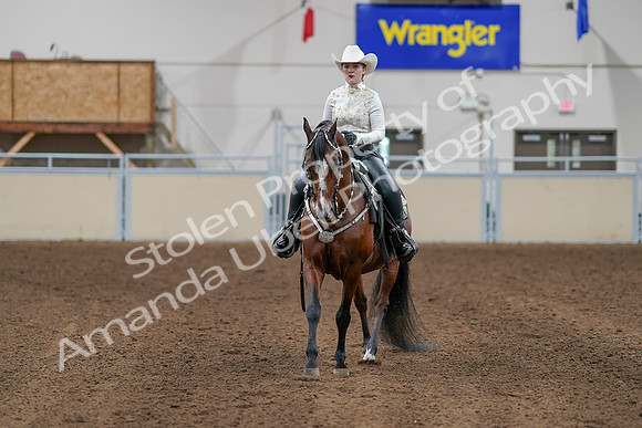 2020 - AB Morgan Horse - Sun, Sept 06 - 07606