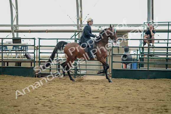 July 21, 2019 - 01729