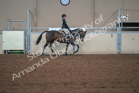 2019 Morgan Horse Show - Aug 30, 2019 - 20690