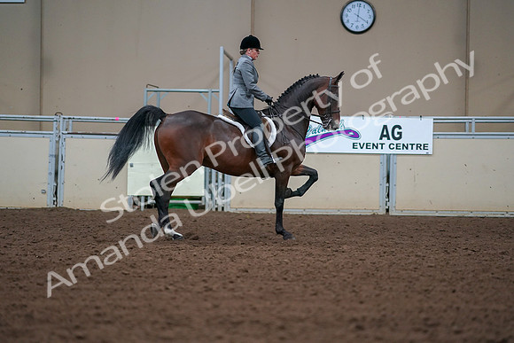 2019 Morgan Horse Show - Aug 30, 2019 - 20676