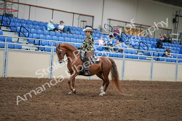 2020 - AB Morgan Horse - Sat, Sept 05 - 08891