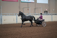 2019 Morgan Horse Show - Sept 01, 2019 - 10372_1
