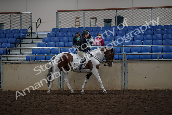 2019 Morgan Horse Show - Aug 30, 2019 - 31412
