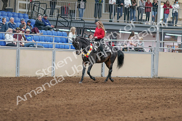 2020 - AB Morgan Horse - Sat, Sept 05 - 10413