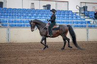 2019 Morgan Horse Show - Sept 01, 2019 - 11205