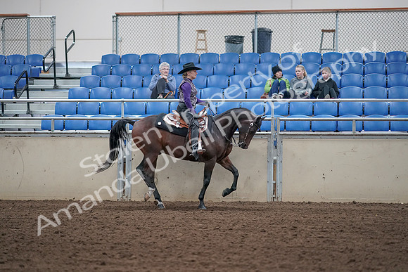 2019 Morgan Horse Show - Aug 31, 2019 - 10688