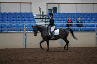 2019 Morgan Horse Show - Aug 31, 2019 - 16498