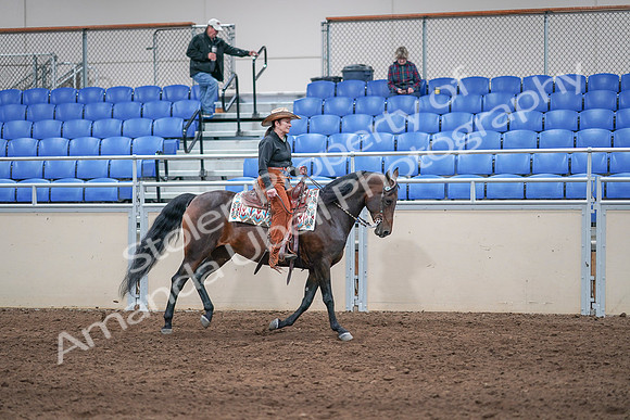 2020 - AB Morgan Horse - Sun, Sept 06 - 01651