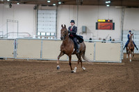 2020 - AB Morgan Horse - Sat, Sept 05 - 06030