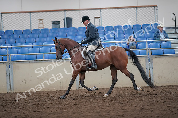 2019 Morgan Horse Show - Aug 31, 2019 - 14830