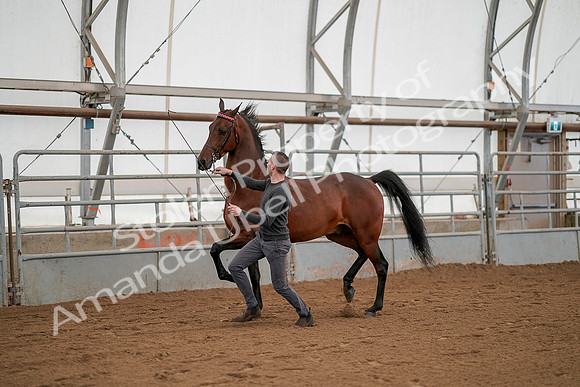 July 19, 2019 - 1172